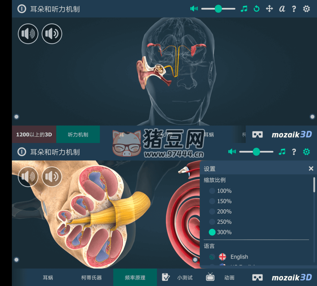 The mechanism of hearing educational VR 3D 人體耳朵 v1.27