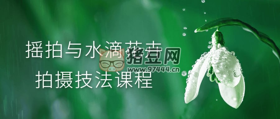 搖拍與水滴花卉拍攝技法課程