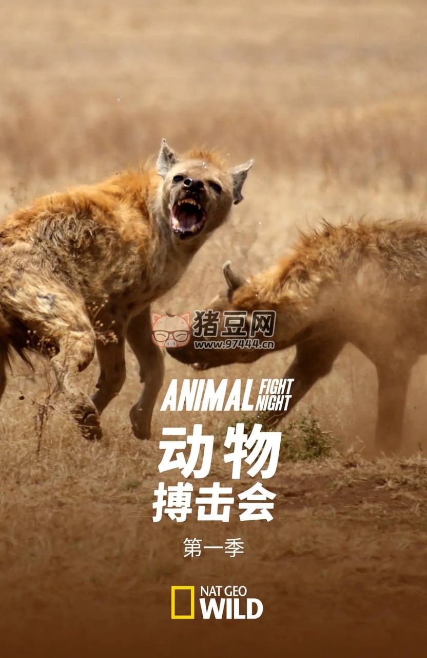 《動(dòng)物搏擊會(huì)》紀(jì)錄片 第一季 (2013) 1080