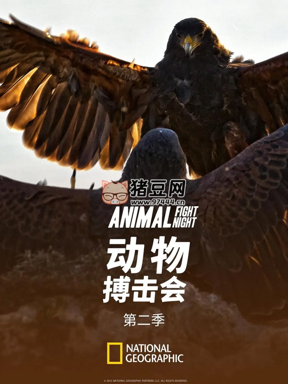 《動(dòng)物搏擊會(huì)》紀(jì)錄片 第二季 Animal Fight Club Season 2 (2014) 1080
