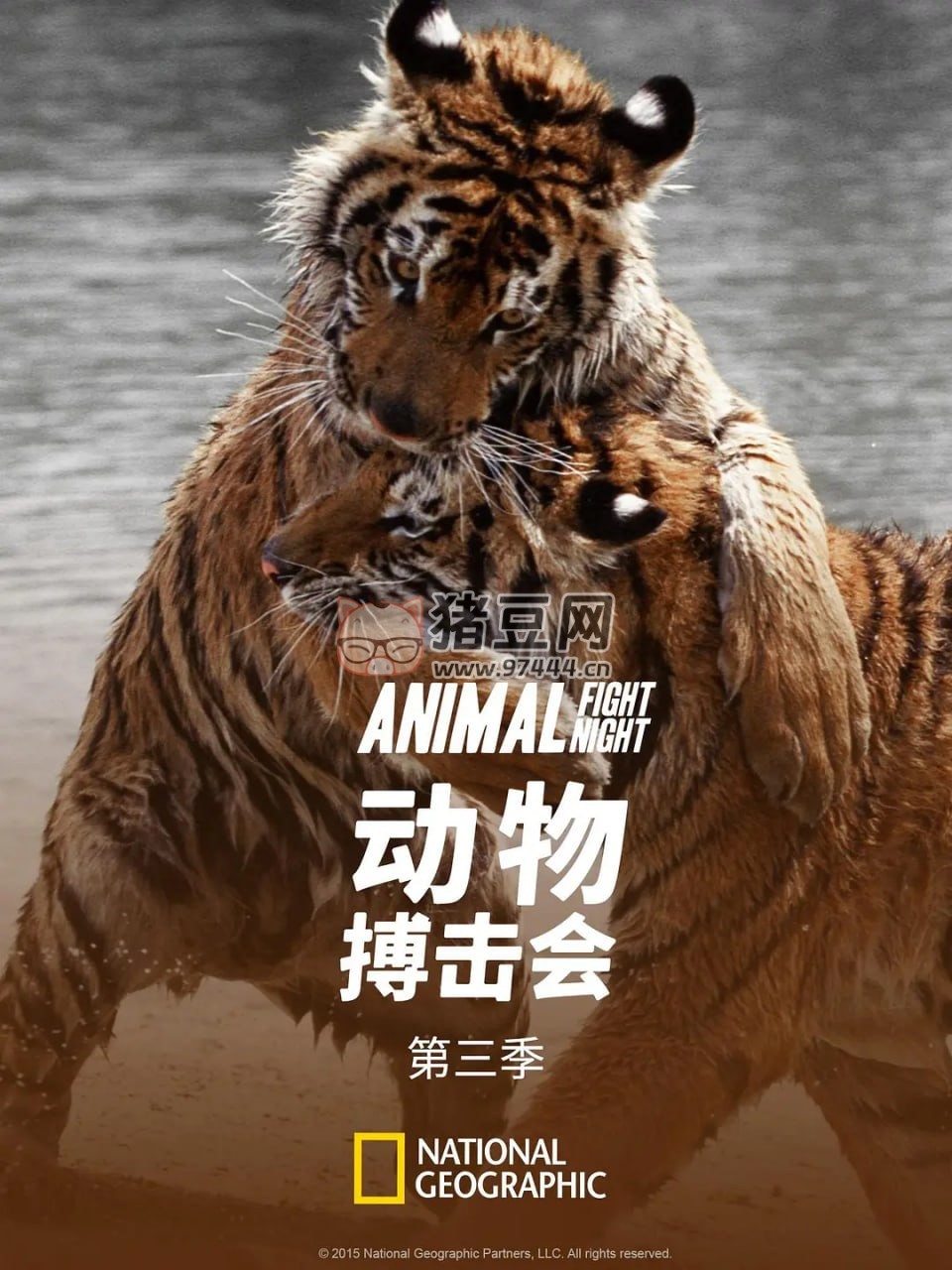 《動物搏擊會》紀錄片 第三季 (2015) 1080