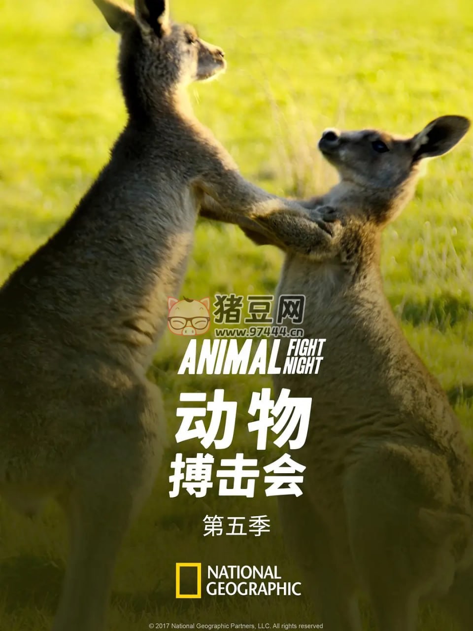 《動(dòng)物搏擊會(huì)》紀(jì)錄片 第五季 Animal Fight Night Season 5 (2017) 1080