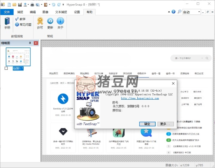 HyperSnap v9.5.2.00 便攜漢化版