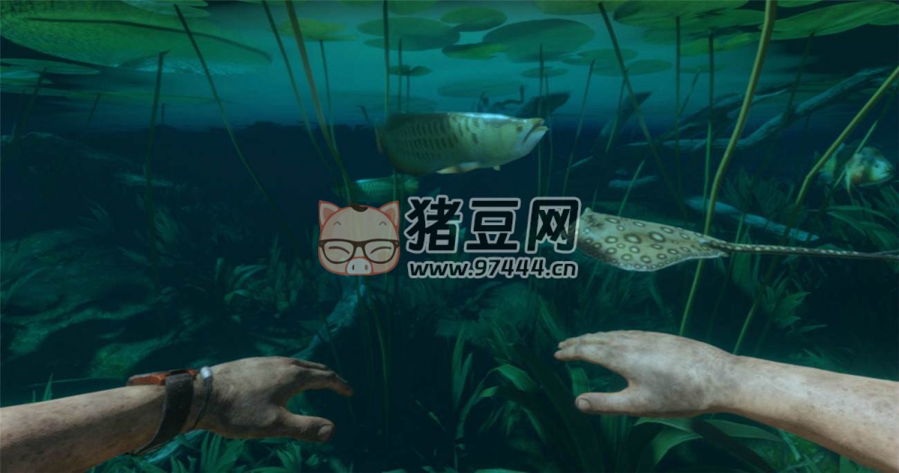 《綠色地獄》v2.9.0 中文版