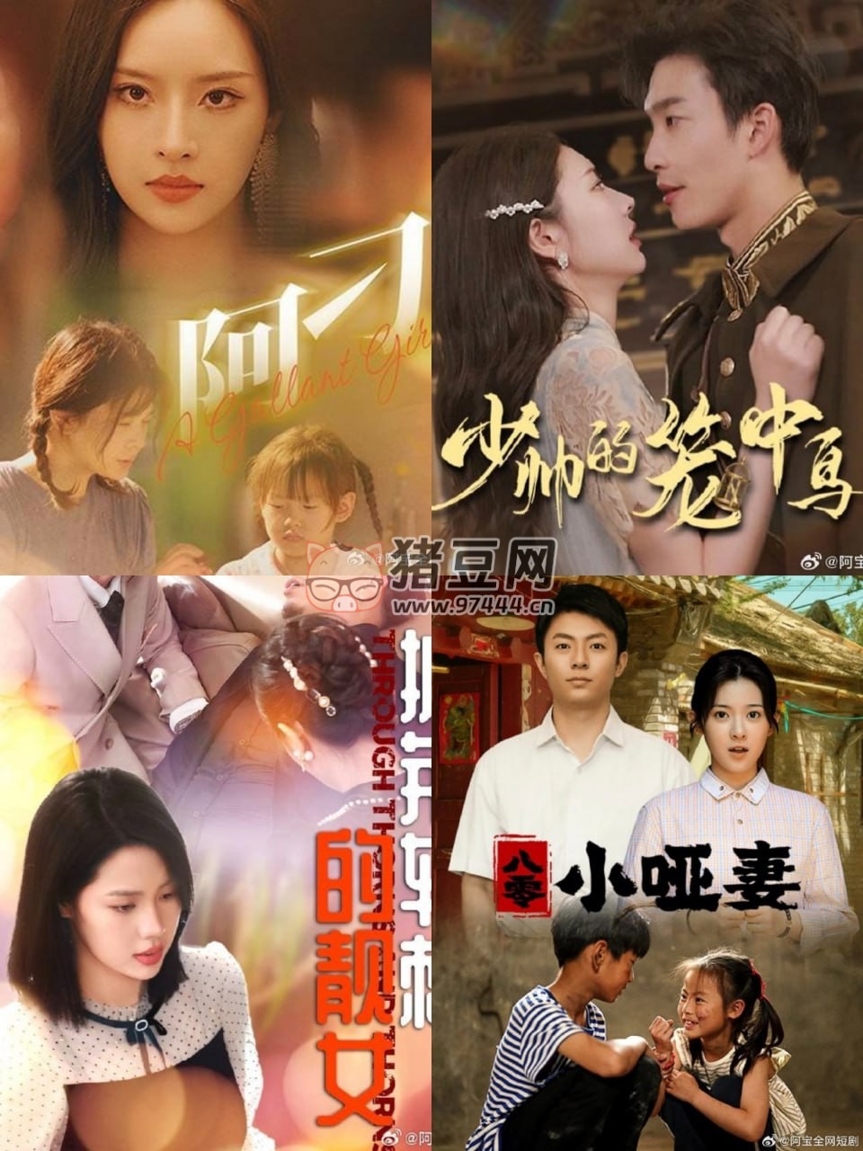 2024 年 8 月 28 日短劇 28 部合集