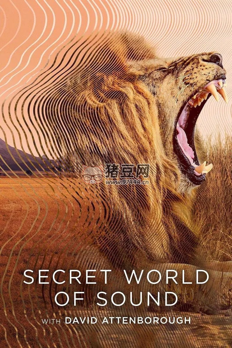 《大衛(wèi)·艾登堡：大自然的聲音》紀(jì)錄片 (2024) 4K