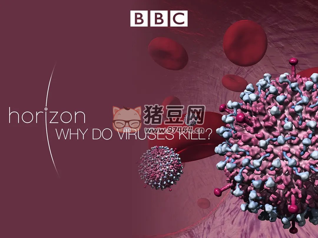 《病毒為何致命》Why Do Viruses Kill 紀(jì)錄片 (2010) 1080