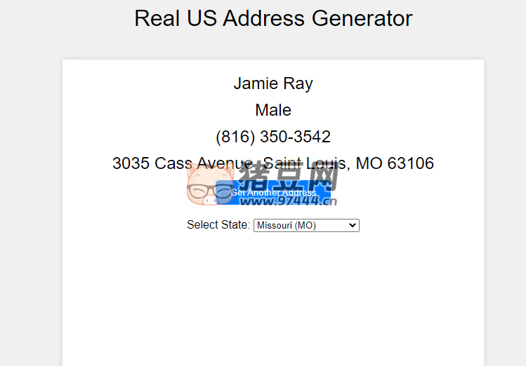 Real US Address Generator：真實美國地址生成器