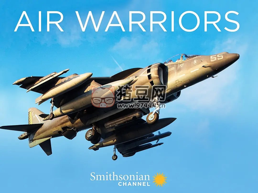 《戰(zhàn)機(jī)：空中勇士》紀(jì)錄片 第五季 Air Warriors Season 5 (2017)