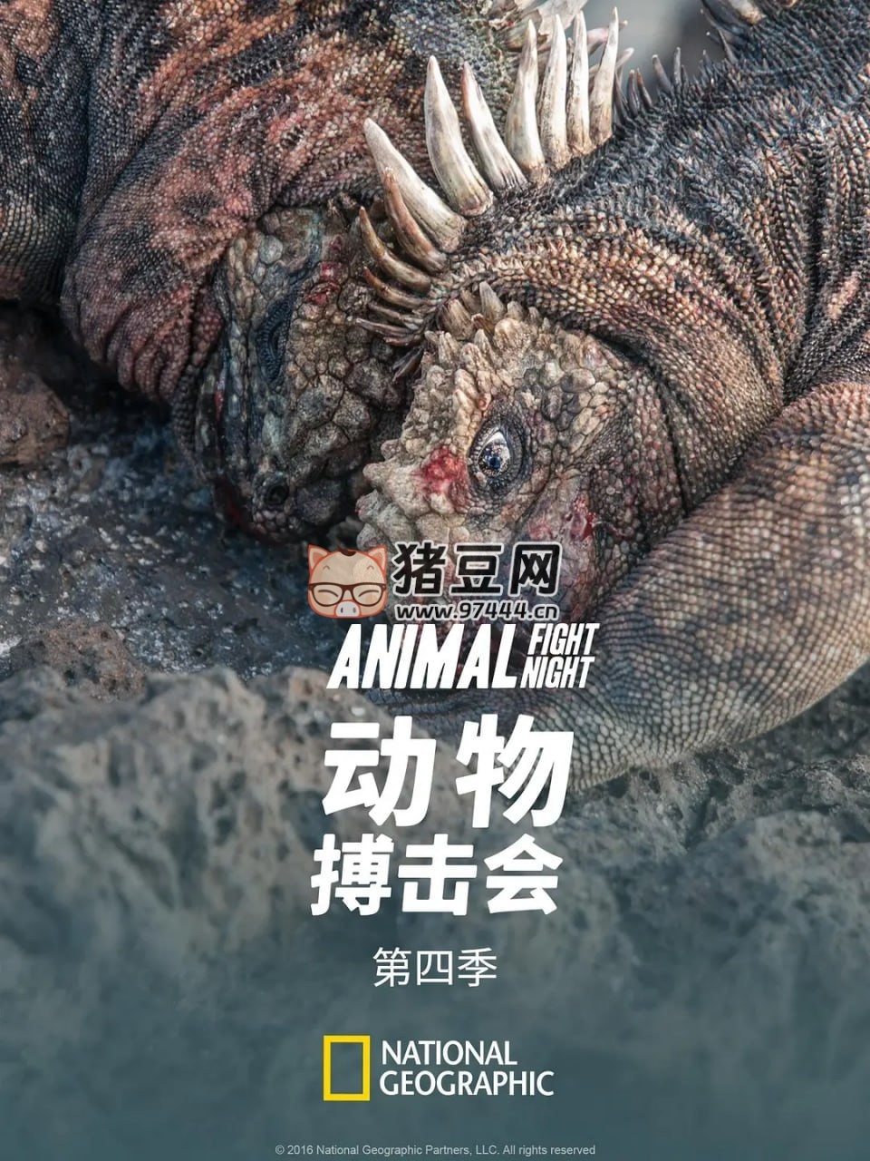 《動物搏擊會》紀錄片 第四季 (2016)