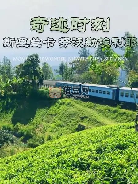 《奇跡時(shí)刻：斯里蘭卡努沃勒埃利耶》紀(jì)錄片 MOMENTS OF WONDER:Nuwara Eliya (2019)