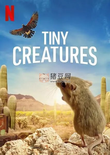 《微觀世界》紀(jì)錄片 Tiny Creatures (2020)