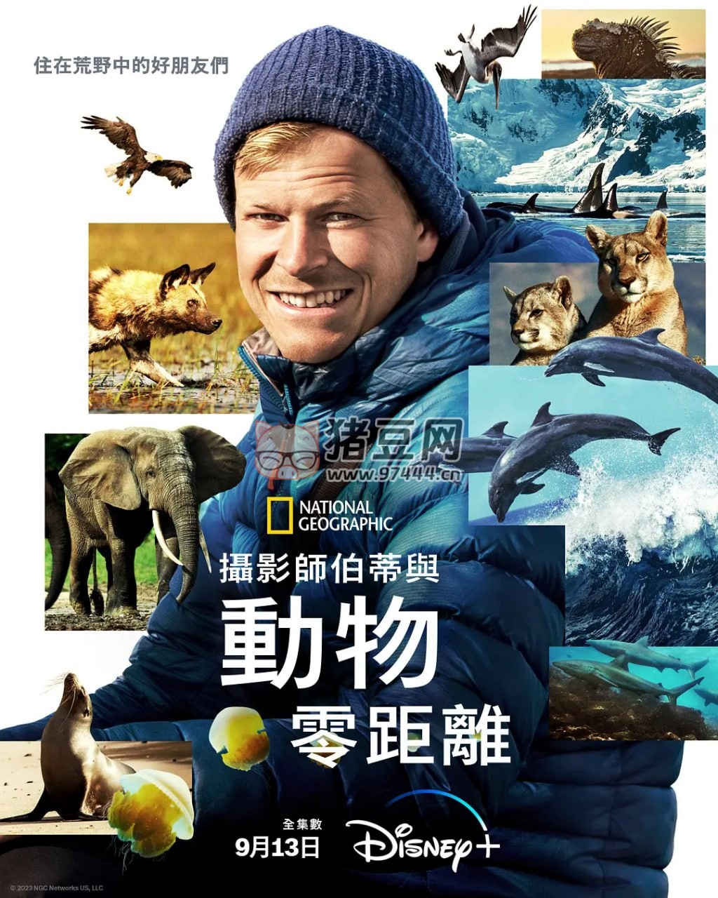 《貝爾蒂·格雷戈里：與動物零距離》紀錄片 Animals Up Close with Bertie Gregory (2023)