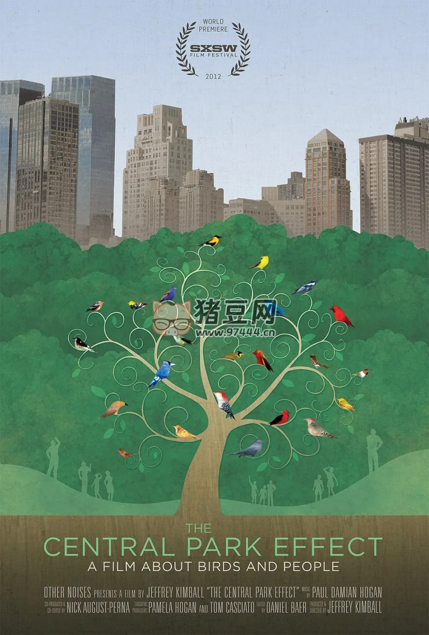 《觀鳥者：中央公園效應(yīng)》紀(jì)錄片 Birders The Central Park Effect (2012)