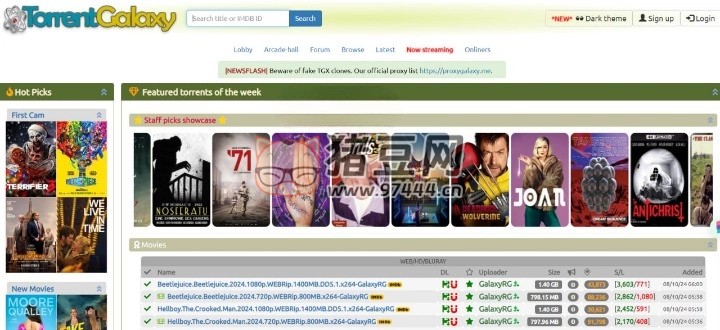 TorrentGalaxy：一個(gè)綜合性的種子分享平臺(tái)