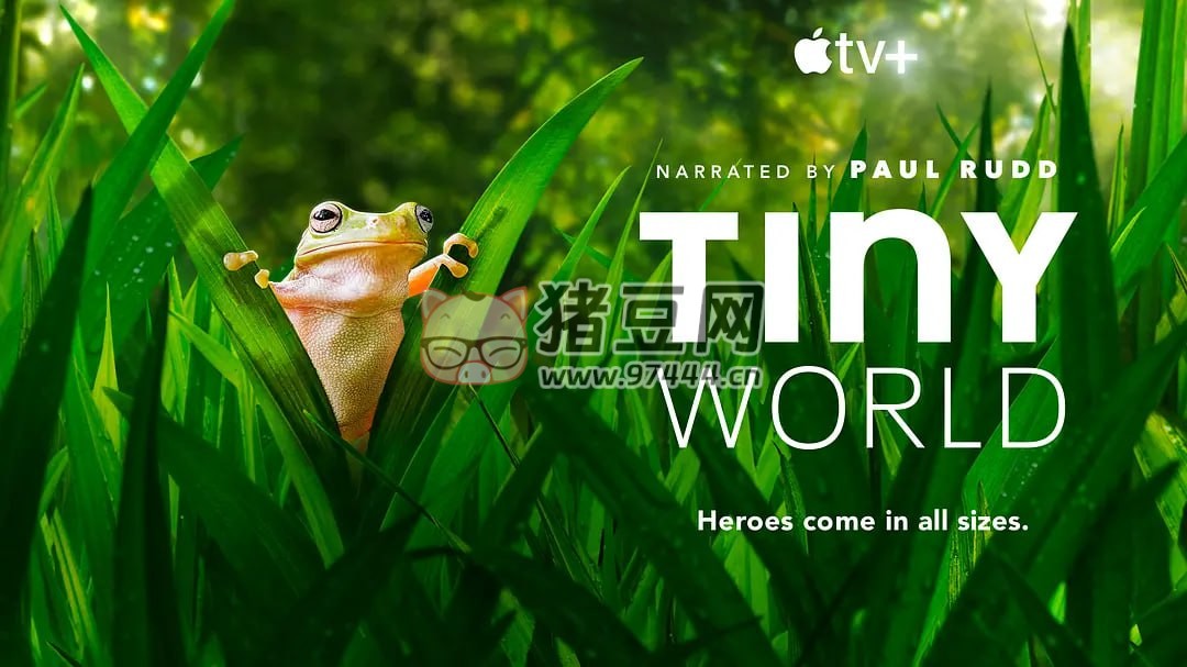 《小小世界》紀錄片 第二季 Tiny World Season 2 (2021)