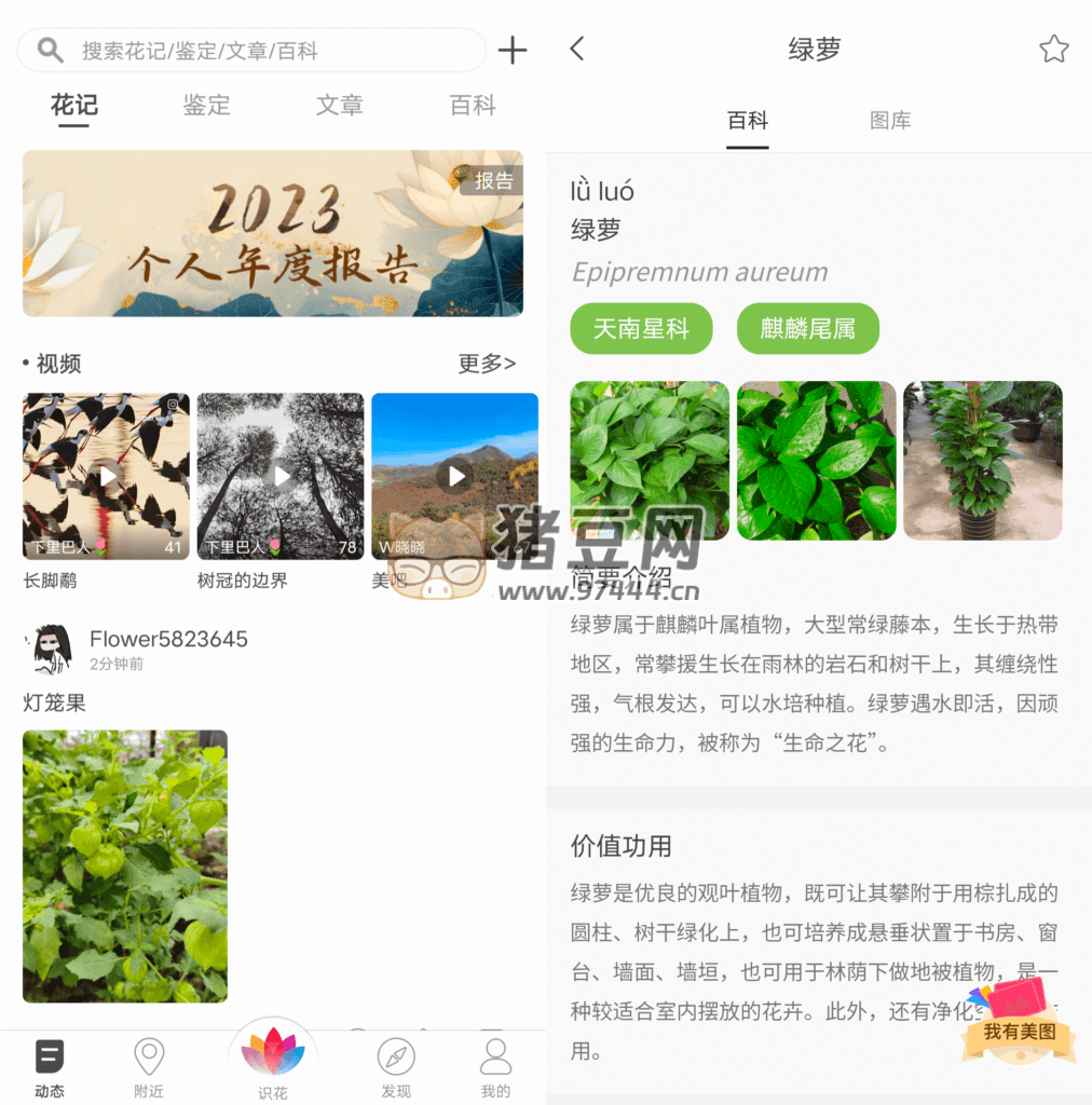 花伴侶 v3.2.16