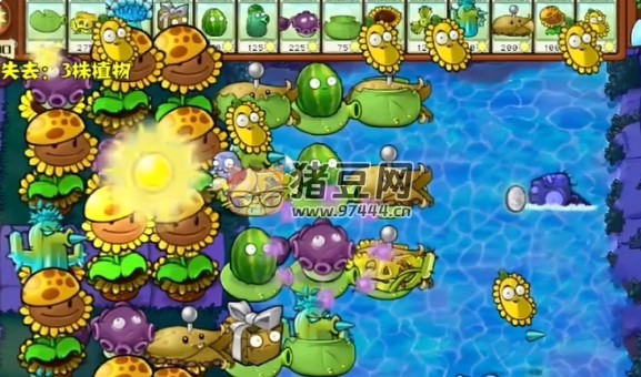 植物大戰(zhàn)僵尸雜交版 + 融合版 + 射擊版合集