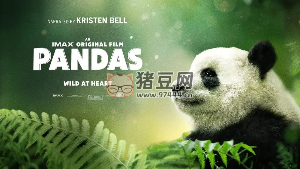 《大熊貓》紀(jì)錄片 Pandas (2018)