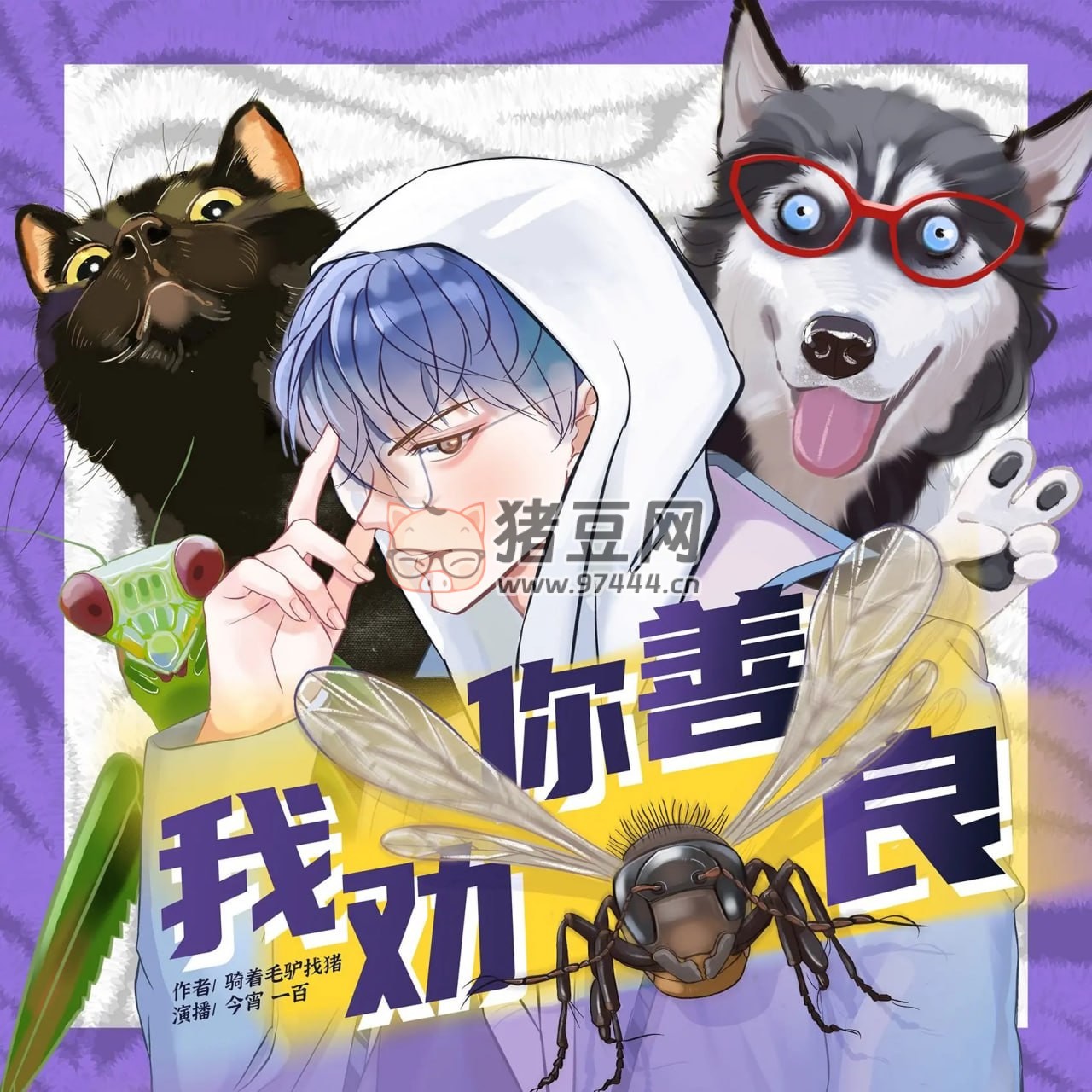 《我勸你善良》有聲小說 作者：騎著毛驢找豬 主播：擲地有聲 793 集完