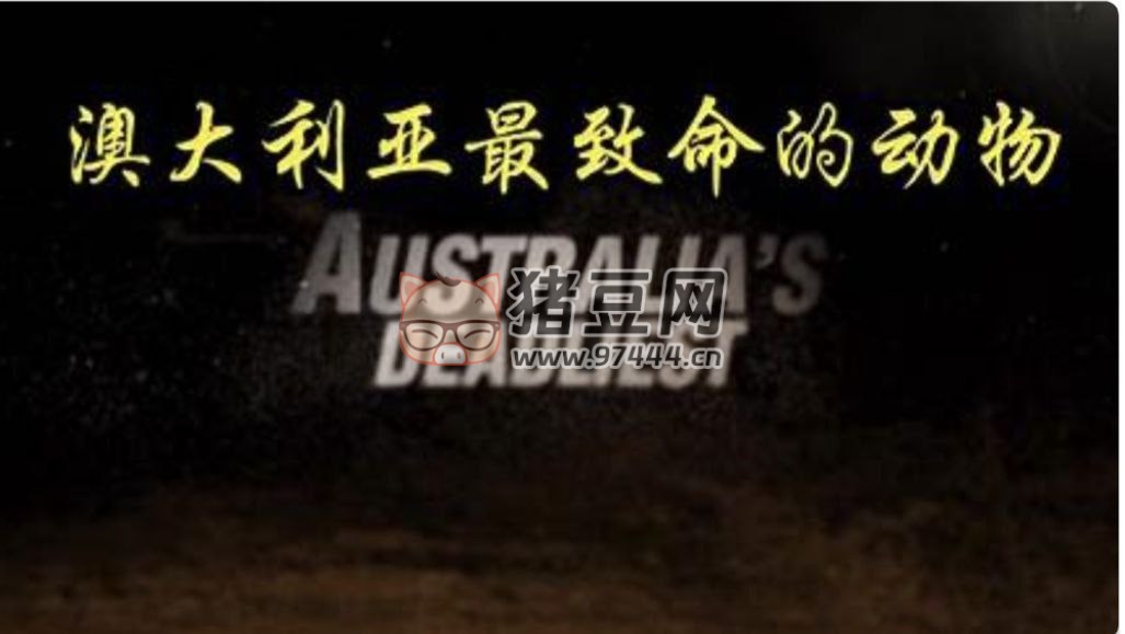 《澳大利亞最致命的動(dòng)物》紀(jì)錄片 (2019) 1080P 中字硬字幕