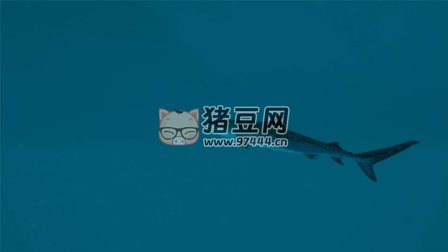 《終極釣魚模擬器 2》中文版