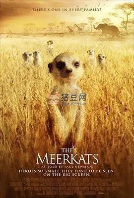 《蒙哥》紀(jì)錄片 (2008) 1080P 中字外掛字幕