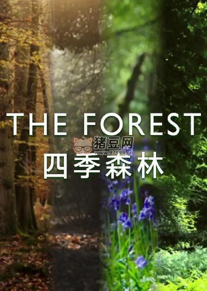 《四季森林》紀錄片 第一季 The Forest Season 1 (2017)