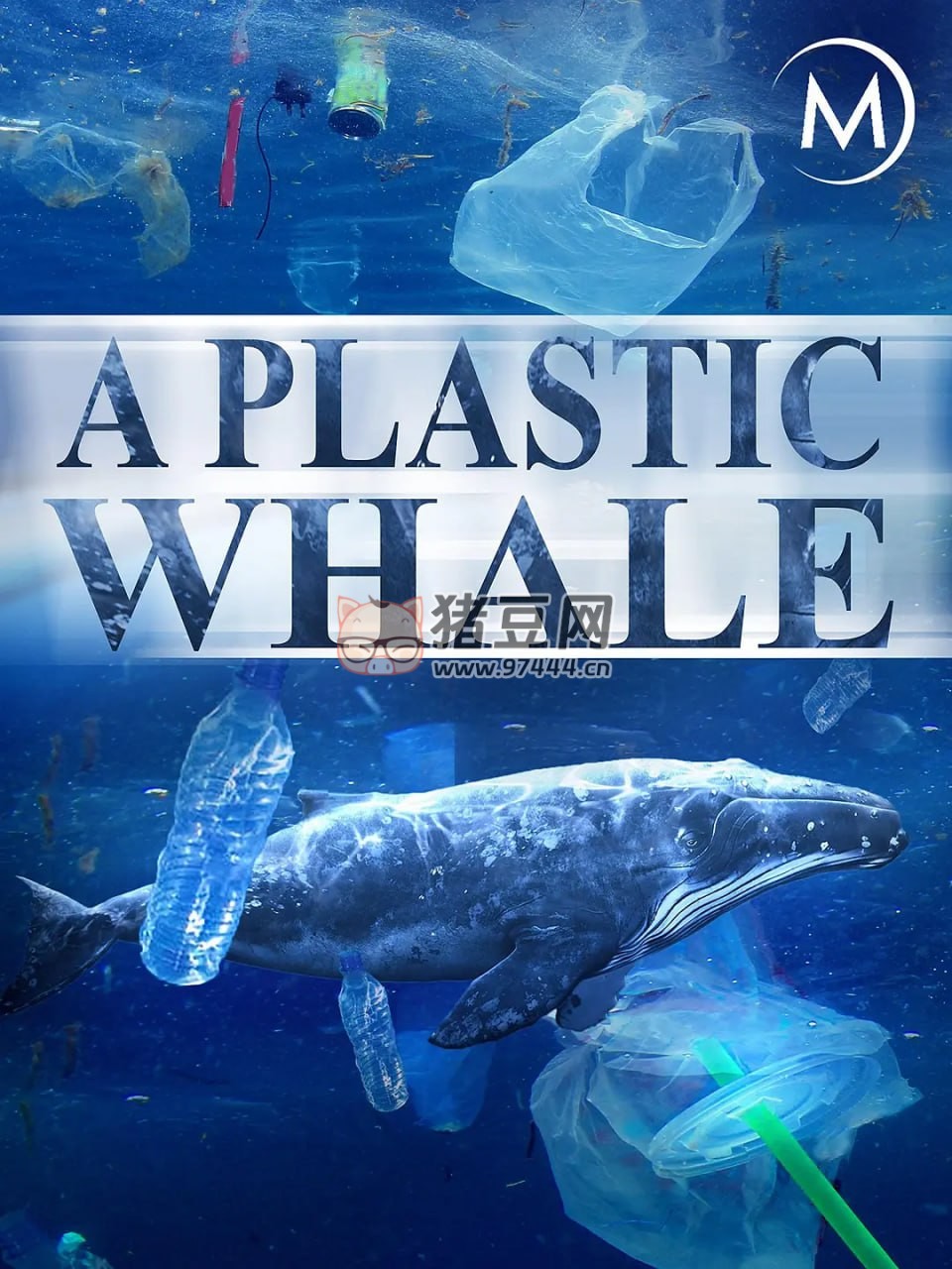《塑料鯨魚(yú)》紀(jì)錄片 A Plastic Whale (2017)