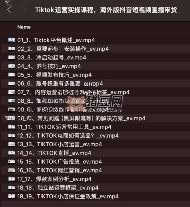 Tiktok 運(yùn)營(yíng)實(shí)操課程：海外版抖音短視頻直播帶貨