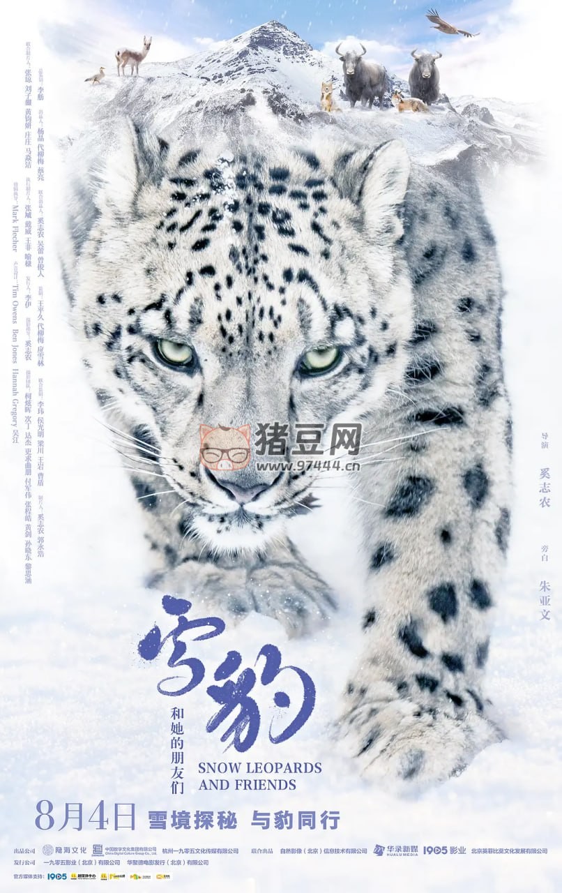 《雪豹和她的朋友們》紀錄片 (2023)