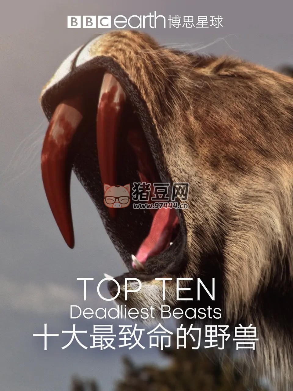 《十大致命的捕食者》紀錄片 Top Ten Deadliest Beasts (2018)