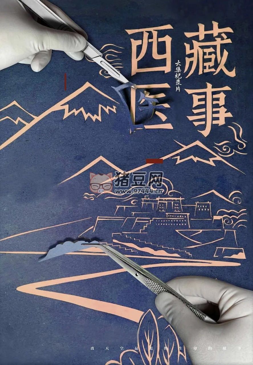 《西藏醫(yī)事》紀(jì)錄片 (2021)