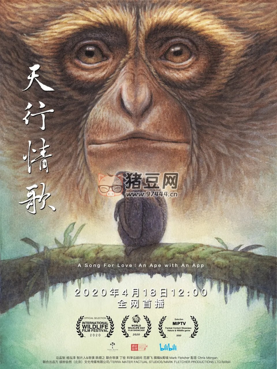 《天行情歌》紀(jì)錄片 (2020)