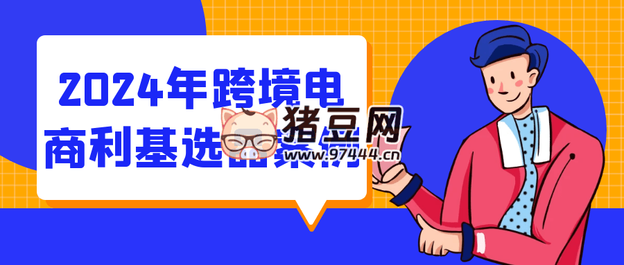 2024 年跨境電商利基選品案例