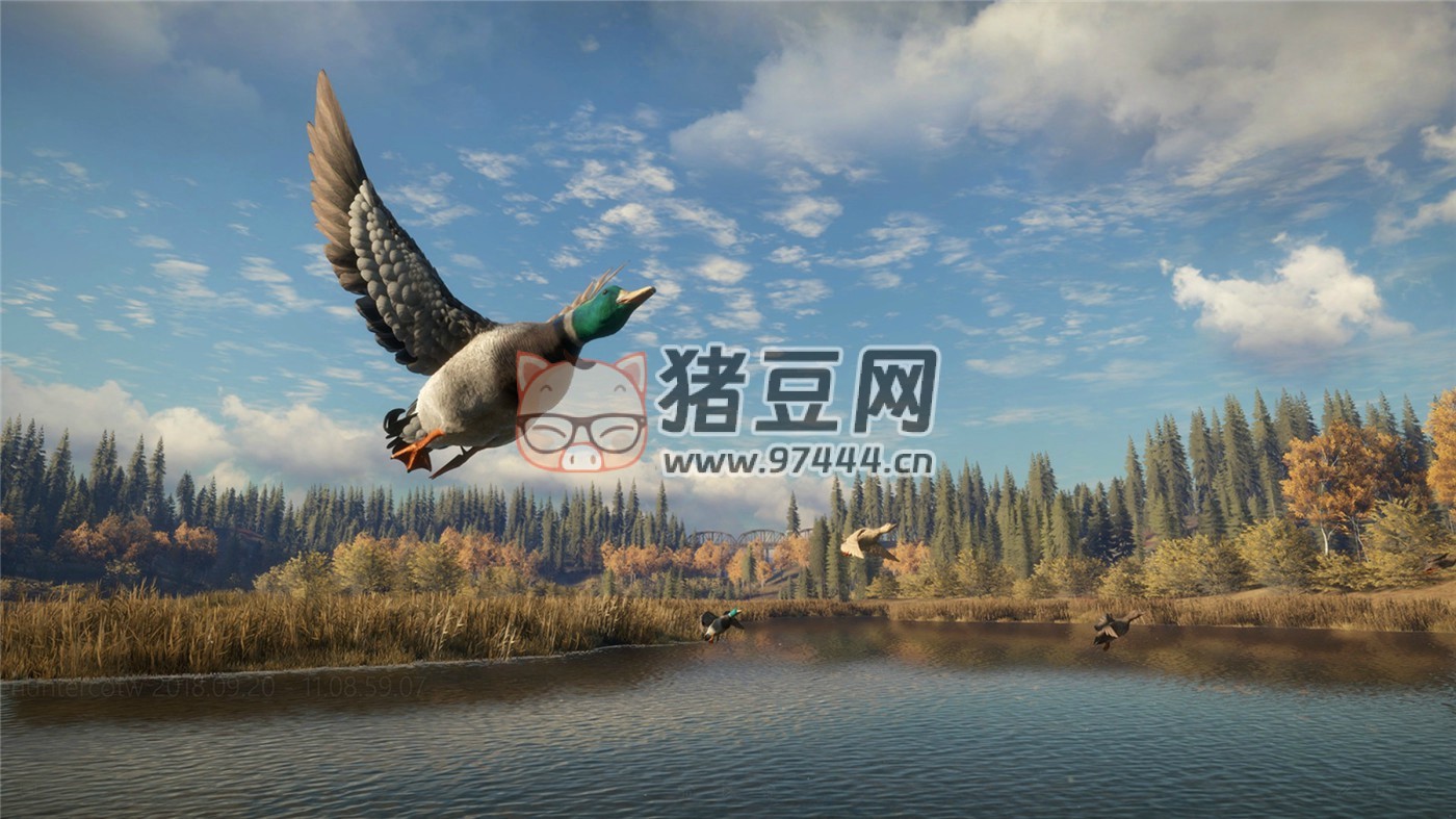 《獵人：野性的呼喚》v2903389 中文版