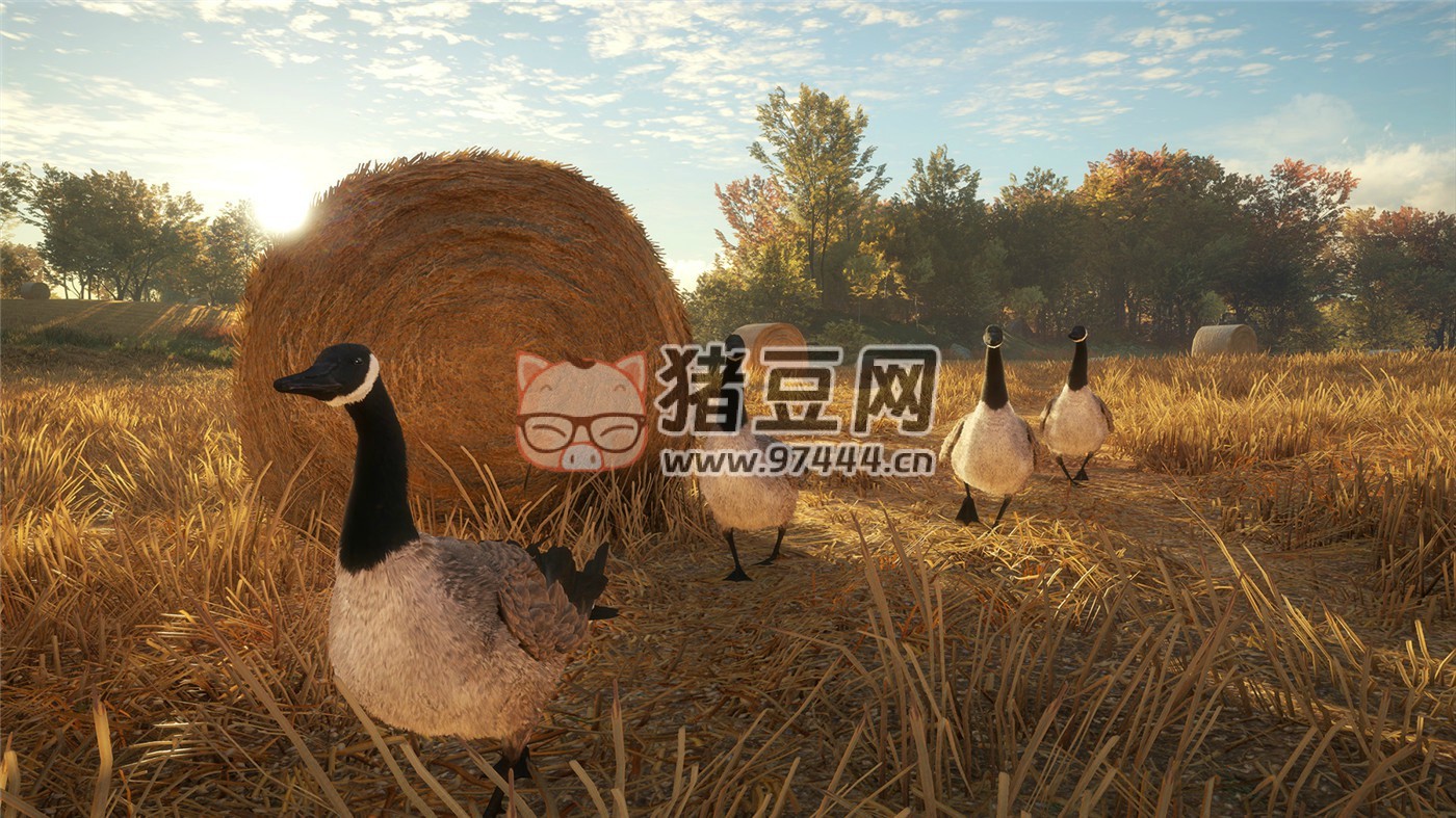 《獵人：野性的呼喚》v2903389 中文版