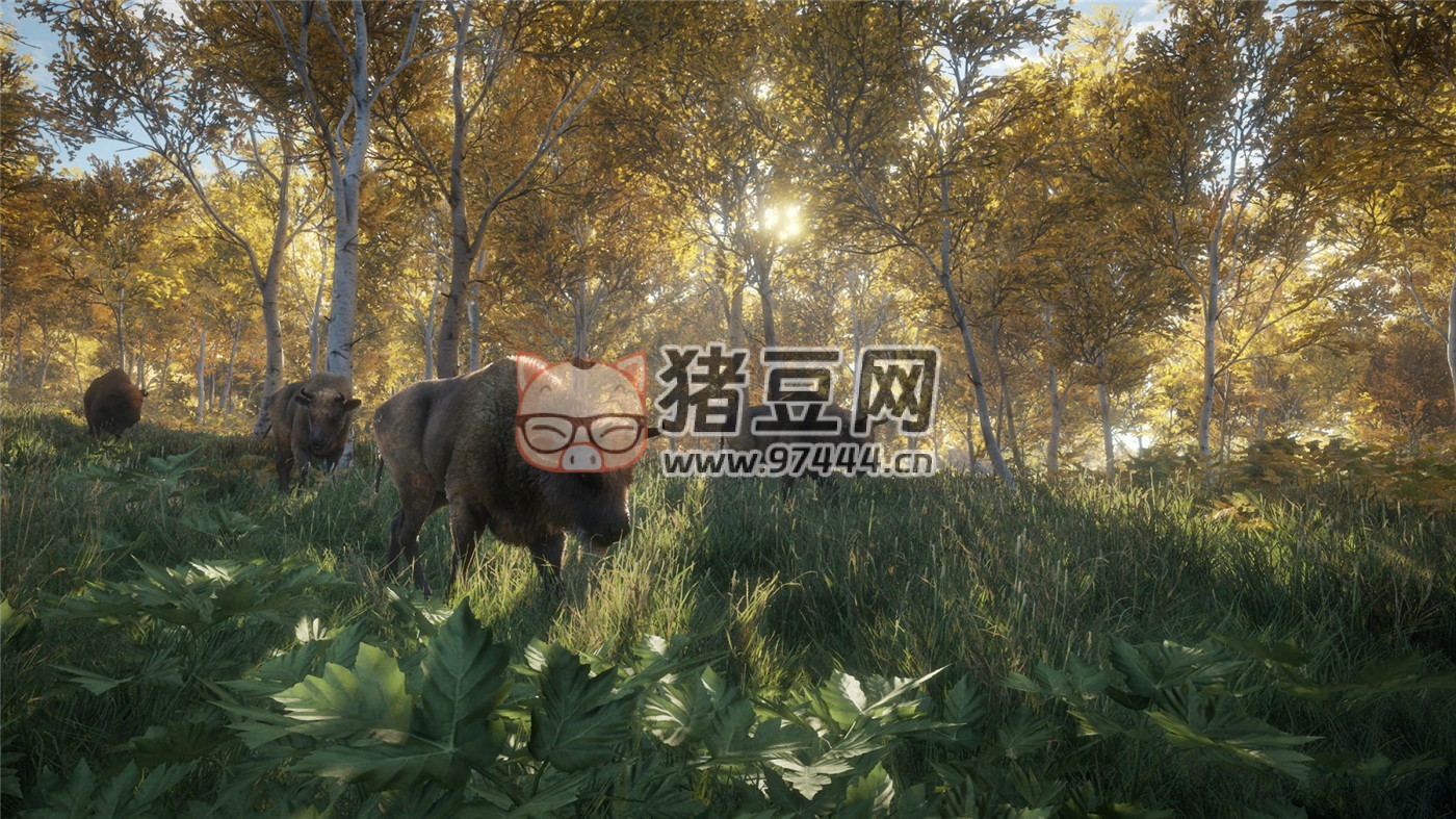 《獵人：野性的呼喚》v2903389 中文版