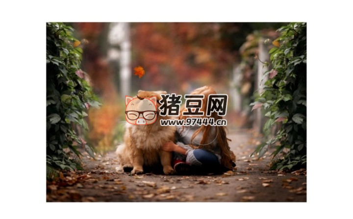 青山攝影課青山調(diào)色系統(tǒng)班第 7 期