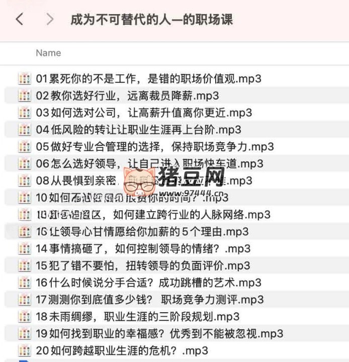 成為不可替代的人職場課