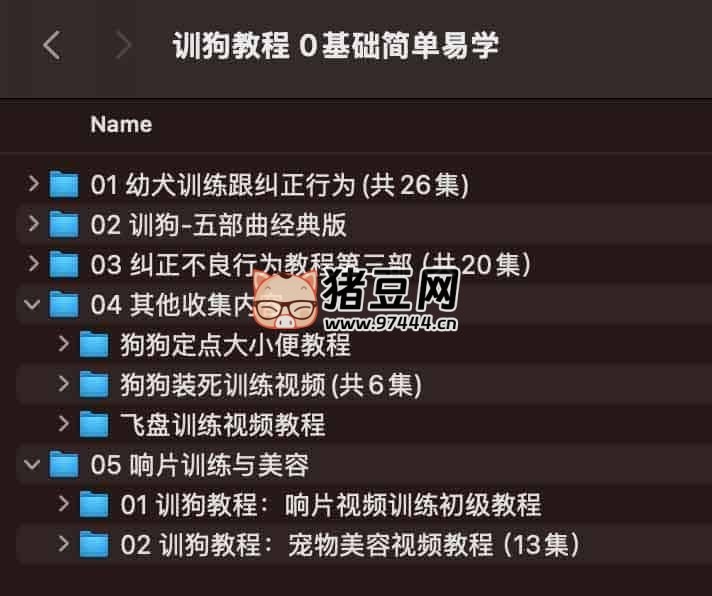 訓狗師專業(yè)指導零基礎(chǔ)自學寵物訓練犬課程