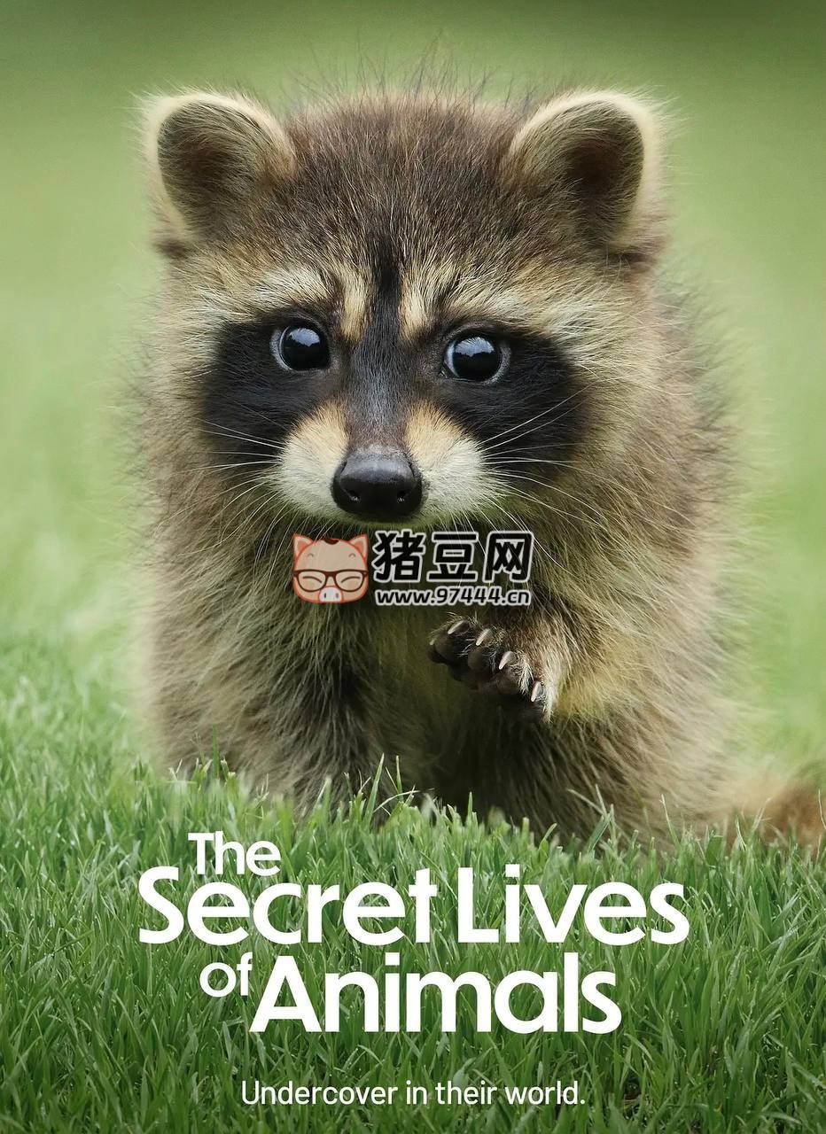 《動物的秘密生活》紀(jì)錄片（2024）全 10 集 內(nèi)嵌中字