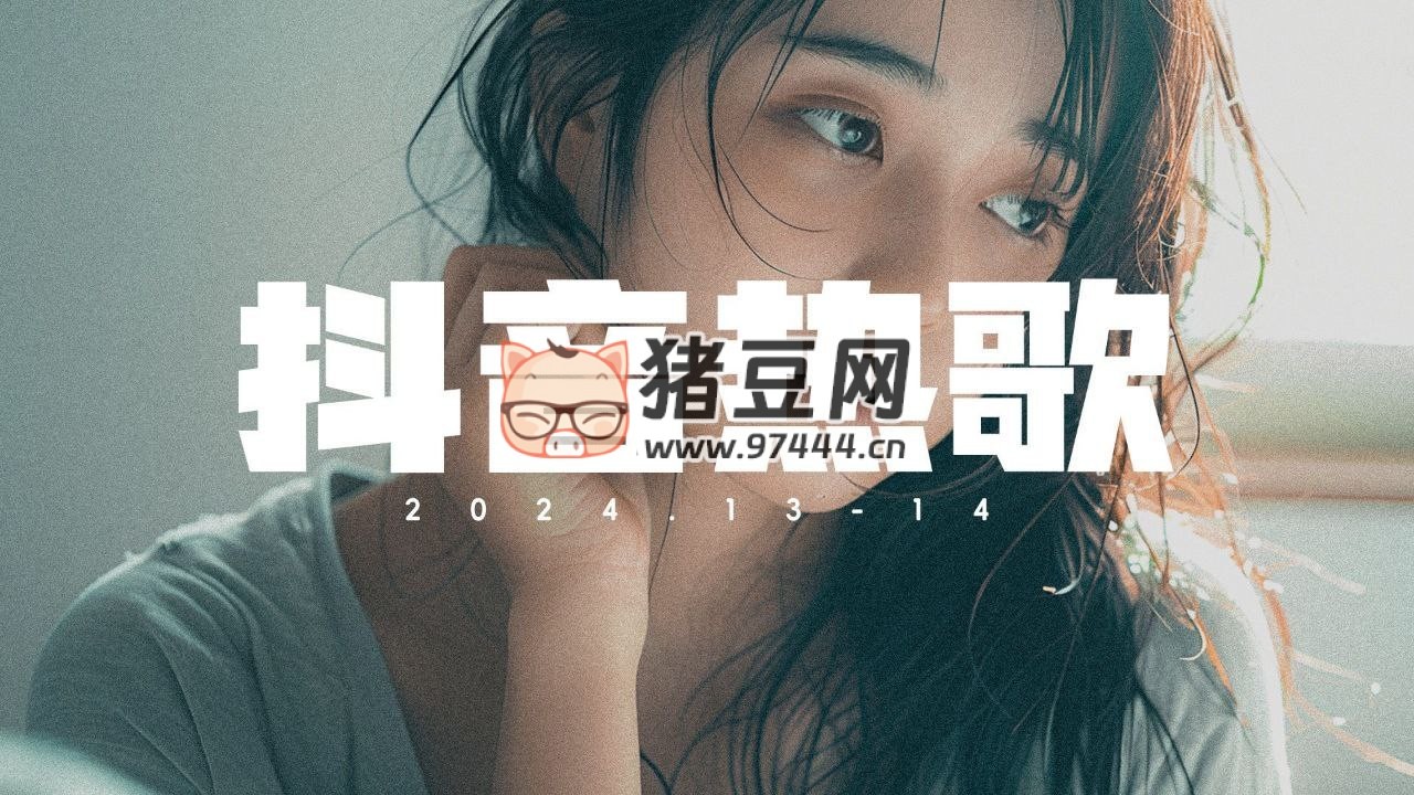 2024 年度抖音爆火歌單合集