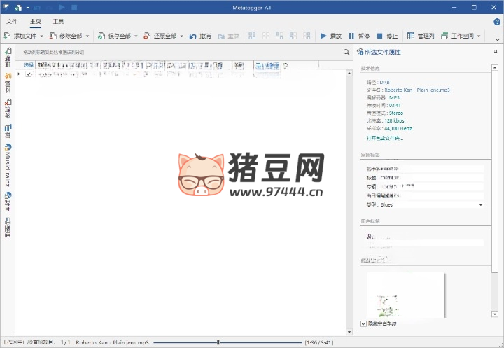 Metatogger 音頻編輯 v7.6.1.0 綠色版