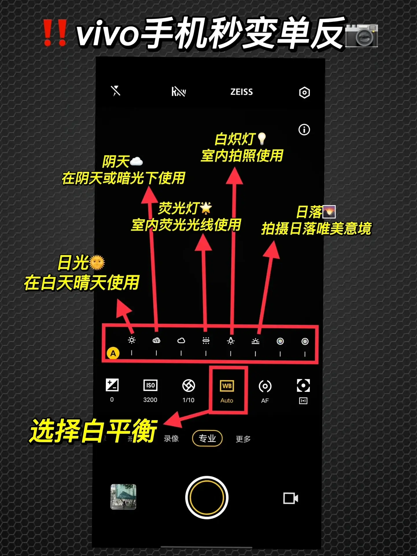 vivo 系手機(jī)相機(jī)最豪橫功能，這樣設(shè)置免費(fèi)使用，堪稱小單反