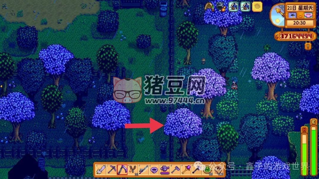《星露谷物語》特殊物品與技能書籍的獲取全攻略 《星露谷物語》特殊物品與技能書籍的獲取全攻略