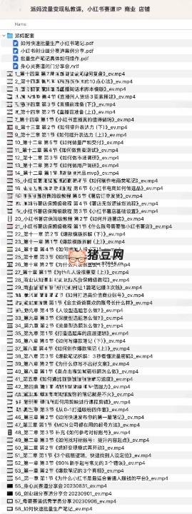 派媽流量變現(xiàn)私教課：小紅書賽道 IP、商業(yè)、店鋪