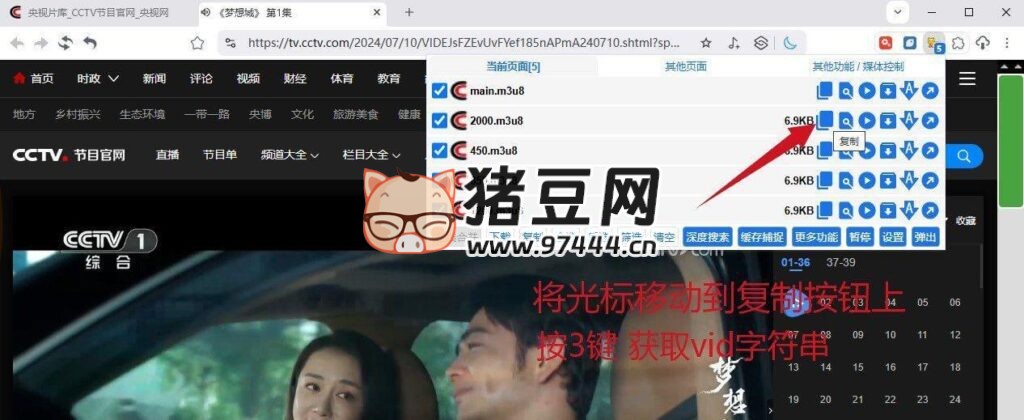 央視視頻下載器 v4.0 綠色版