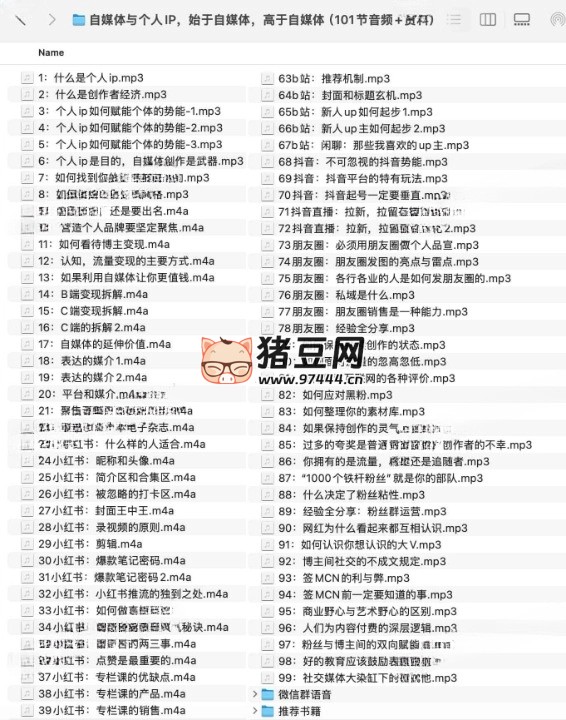 自媒體與個人 IP，始于自媒體，高于自媒體（101 節(jié)音頻 + 資料）