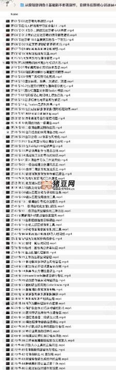 從剪輯到調(diào)色 0 基礎(chǔ)新手影視制作，自媒體后期核心訓(xùn)練課